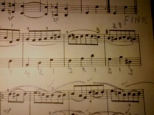 Herr Mueller's fingering notes on my piano page